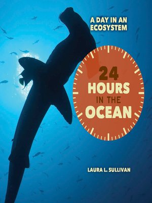 cover image of 24 Hours in the Ocean